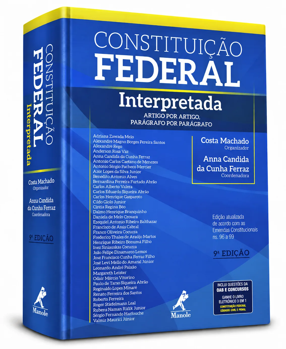 Constituição Federal Interpretada